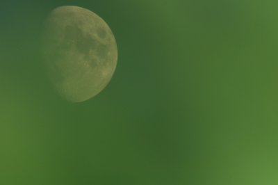 Green moon_4989119368_l.jpg